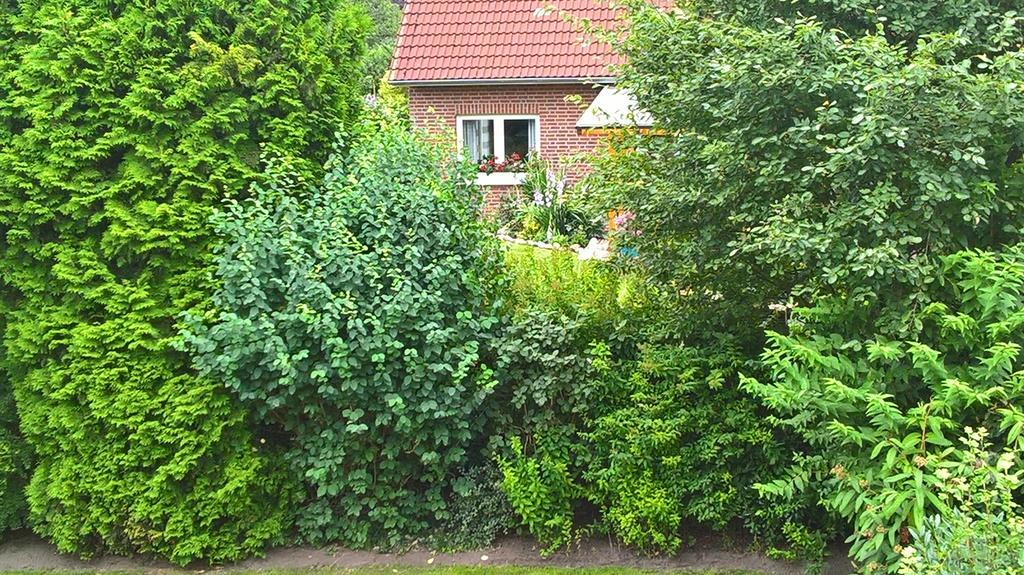 Ferienwohnung Fuchskuhle Bockhorn  Luaran gambar